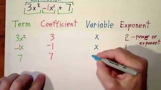 Vocabluary:Expression, Term, Coefficient, Variable, and Exponent, & Combining Like Terms.WMV