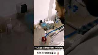 Spreading Method (Cultivation technique) isolation of bacteria Microbiology