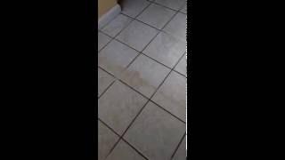 During Professional Tile & Grout Cleaning NJ ProCleanersNJ 973-343-7627