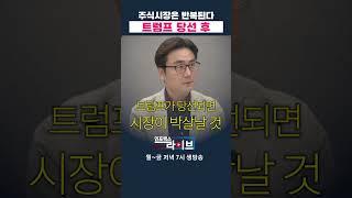 트럼프 당선 후 주식은 (박세익) | 인포맥스라이브 저녁 7시