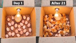 How to make a home incubator simple and easy | Home incubator for chicken eggs