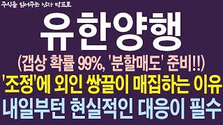 [유한양행 주가전망] 갭상 확률 99%, 분할매도 준비!! '조정'에 외인 쌍끌이 매집하는 이유! 내일부턴 현실적인 대응이 필수!