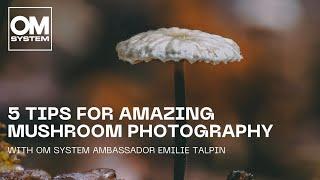 5 Expert Tips for Amazing Mushroom Photography with OM SYSTEM