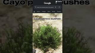 GTA Online bushes are built different  #gta #gtav