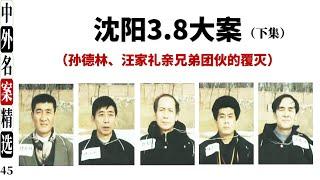 沈阳3.8大案（下集）不多见的临刑前采访视频