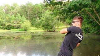 How To Fish Small Ponds - Bass Fishing Tips