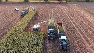 Mais 2024  : 2X Claas Jaguar 980 | Jeromin Agrar | BIG Harvest | Trucks and tractors | Maisernte 4K