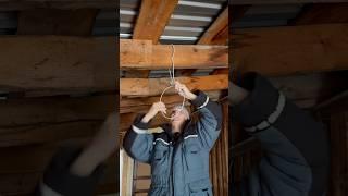 Мой обычный день