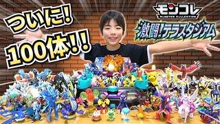 【ポケモン】モンコレついに100体！激闘！テラスタジアムで遊ぼう！