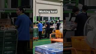 #factorywork #short #shorts #shortvideo