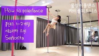 [카이폴피트니스/몽실이폴댄스강의]POLEDANCE TUTORIAL/HOW TO POLEDANCE/폴댄스1-2개월/세뇨리따/Señorita/@kaipole_mongsil2