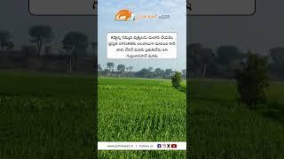 JHK Farmer Quote | Motivational quotes Telugu II Inspirational Quotes II Telugu Quotes #jhk