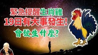 命理推算：生肖雞3天內波瀾起伏！10月19日隱藏驚喜，有不可錯失的良機，將迎驚天大轉折！接！ #生肖雞運勢 #生肖雞運程 #屬雞人運程 #屬雞人運勢