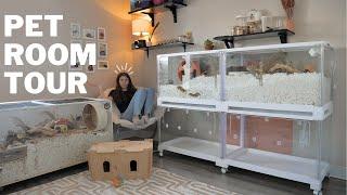 Pet Room Tour 2024