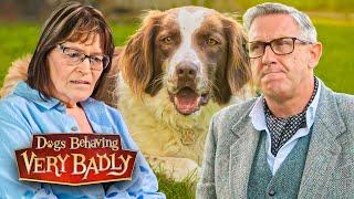 Dogs Behaving Very Badly: Series 4 - Episode 5 | Full Episode