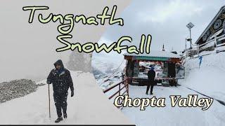 Tungnath Snowfall Chopta Valley || Chandrashila winter trek ||  Chopta Valley.