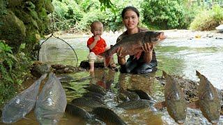 10 days away from husband: Catching giant carp with children - Goes to sell | Trieu Thi Thuy.