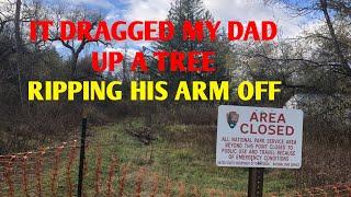 DOGMAN DRAGGED MY DAD INTO THE TREES, RIPPING HIS ARM OFF. THE GOV'T IS HIDING THE TRUTH & INFO