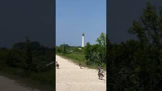 Hiking Cape May Point State Park, NJ—Day 180 Sober! #nature #hike #soberlife #clarity #freedom