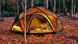 Autumn Camping at -3.9°C! Enjoying a Cozy New Tent on a Bed of Leaves relaxing ASMR