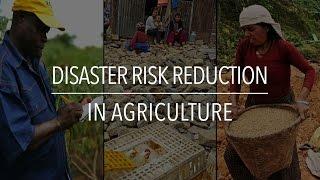 FAO Policy Series: Disaster Risk Reduction in Agriculture