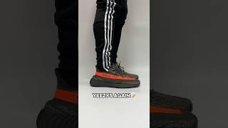 I Wore the Carbon Beluga YEEZY 350