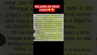 Gálatas 6:7-10