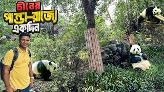 বিলুপ্তপ্রায় প্রাণী পান্ডার জন্মভূমি চীনের চেংডুতে গিয়ে যা দেখলাম || Homeland of Panda || China