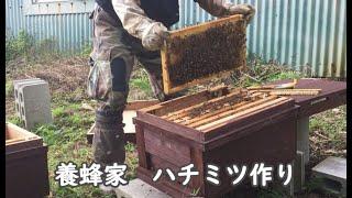 養蜂家になる！蜜蜂の飼育【森の生活体験】【Become beekeepers】-Forest life experience tour -