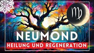 Neumond Meditation zur Heilung und Regeneration