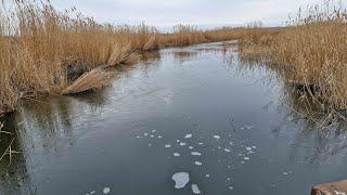 Вчера была зима  15 12 2024