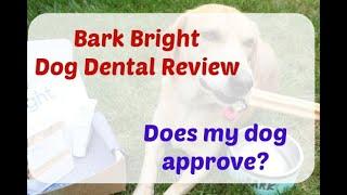 Bark Bright Dog Dental Subscription Box Unboxing/Review + Free Yeti Bowl ($40 Value)