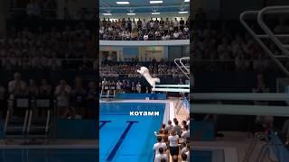 Олимпиада среди КОТОВ. #новости #новостимира #news
