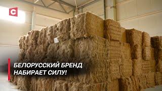 Вы удивитесь, что в Беларуси делают со льном! В Ляховичах возродили уникальную технологию!