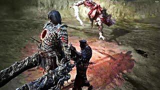 Gael helps kill a Ringed Knight