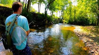 Fall River Trout Fishing in East Tennessee