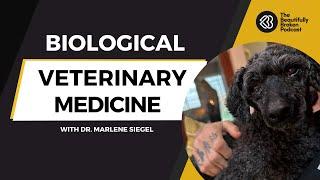 Veterinary Medicine and Longevity for our Pets - Dr. Marlene Siegel Interview