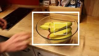 tarent AI-Demo: Object Recognition of Fruits