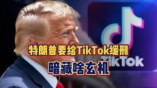 特朗普要求给TikTok缓刑，暗藏啥玄机？