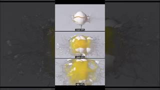 480fps vs 1000fps vs 2500fps egg fps test #slowmotion #science #fps