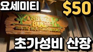 요세미티 초가성비 산장 $50 달러! 풀투어!