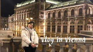 비엔나대학교 일상 VLOG in Vienna :: 빈대학 브이로그 :: 부산대 Vlog SAM 단기파견 프로그램 ::