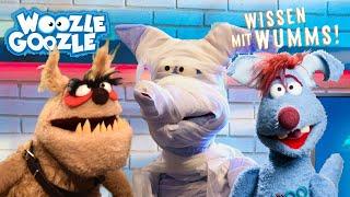 Die coolsten Studiogäste l WOOZLE GOOZLE