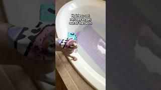 Hairless Cat Needs To Be Bribed To Get Out Of Bath | The Dodo
