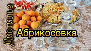 Абрикосовка на Люкссталь 7м