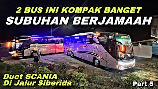 Janjian Subuhan Berjamaah ️ Duet Scania Di Jalur Berliku ️| trip SAN BM 7006 TU “ Ibrahimovic “