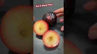 How to cut PLUM : Red and Black Plums  #shorts #fruitcutting #satisfying #fruit