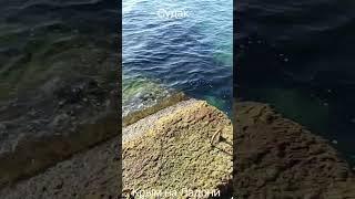 Крым Судак чистая вода в тихом море без людей 