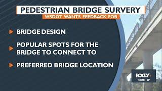 Pedestrian bridge survey open now