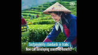 Sustainability standards in trade: How can developing countries benefit?